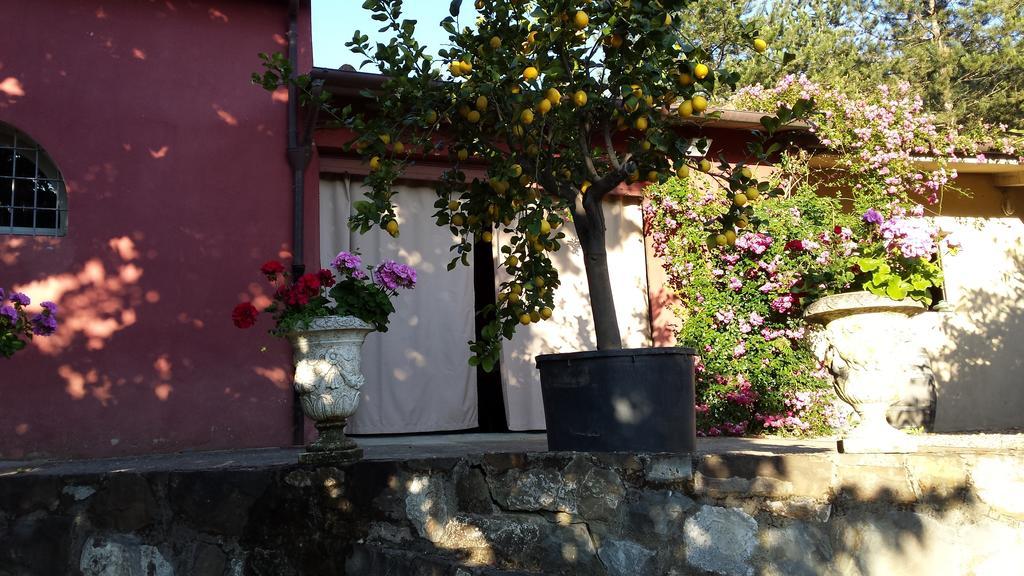 Il Pezzatino Guest House Rufina Exterior photo